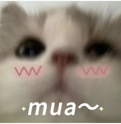 凝凝常发的猫咪表情包